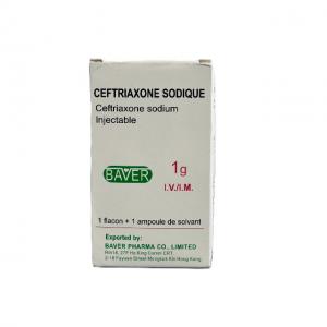 CEFTRIAXONE SODIUM  INJECTION